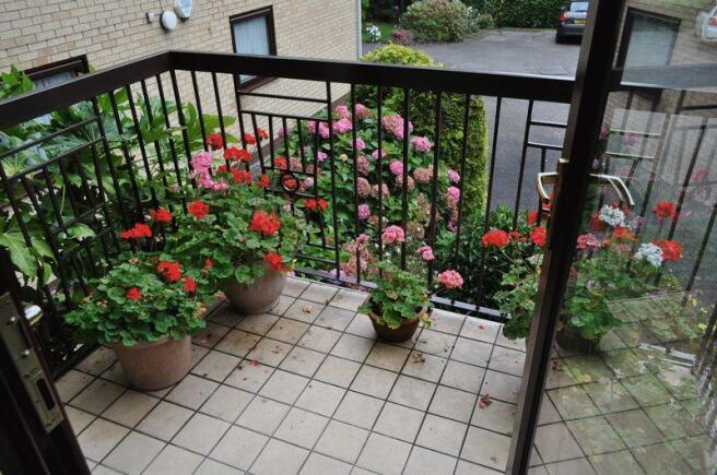 Photo 7