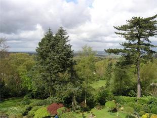 Garden & View