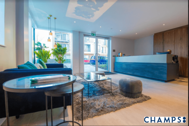 Luxury 1-Bedroom Apartment with Private Terrace &