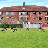 4, Wantage House, Kings Lynn Drive, Romford RM3 8BZ