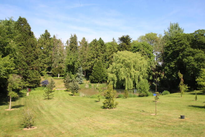 Photo 13