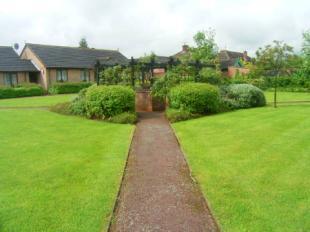 Communal Garden