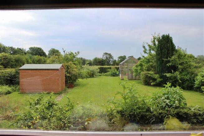 View From Kitchen