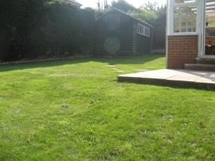 Garden 2