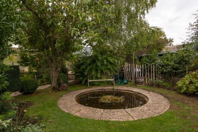 Pond