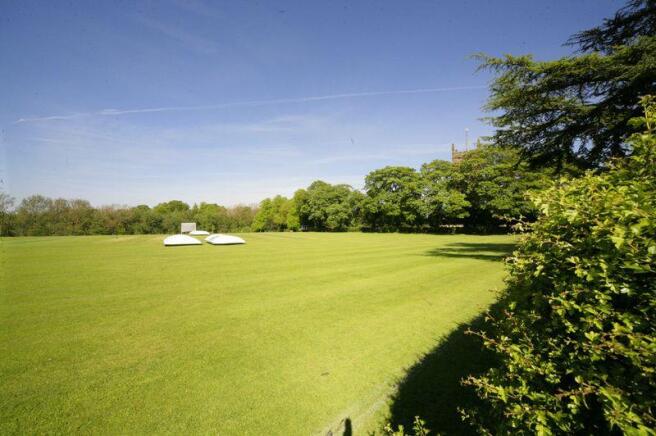 view over cricket