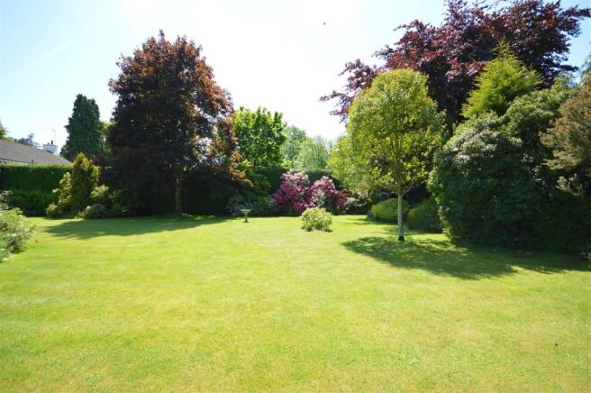 Rear garden
