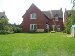 Rear Elevation