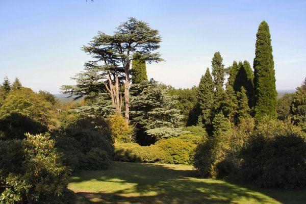 Grounds Looking...