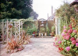 Photo 8