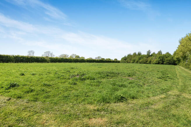 Grounds