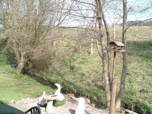 View From Lounge