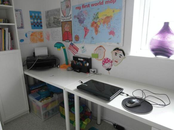 Study Area