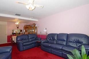 Lounge / Dining Room