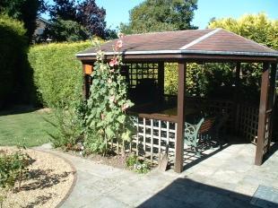 Garden Shot 4