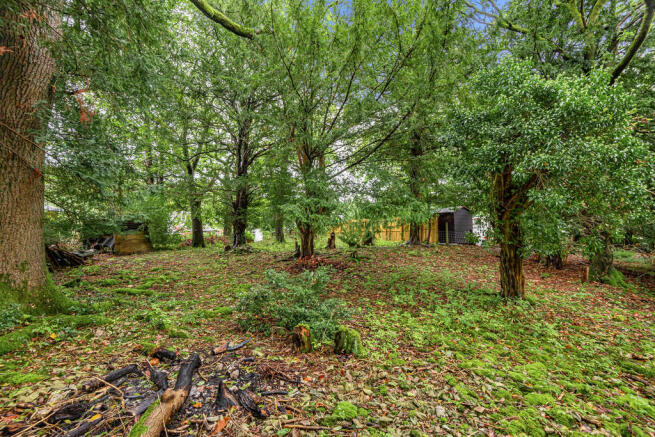 Woodland