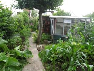 Rear Garden 3