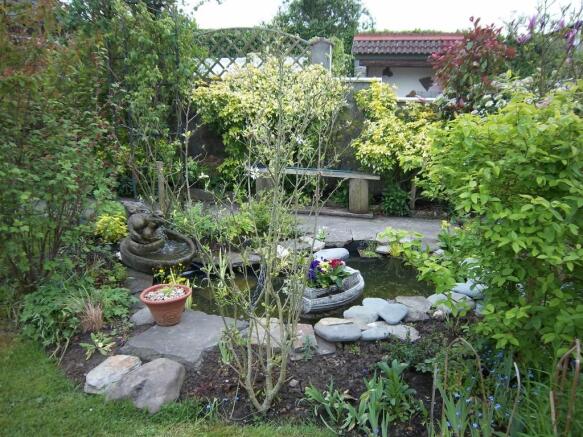 Garden Pond Summer