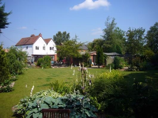 Photo 8