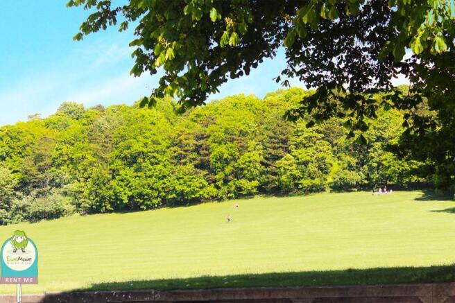 Local Park - Popes Meadow
