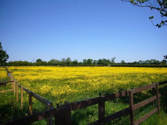 Paddocks to Front