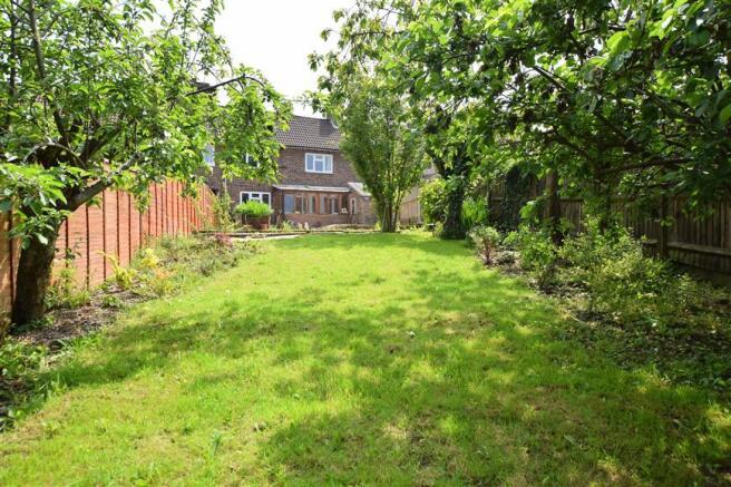 Rear Garden (Original)