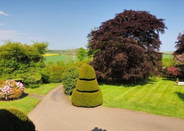 Garden and View