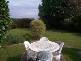 garden 1