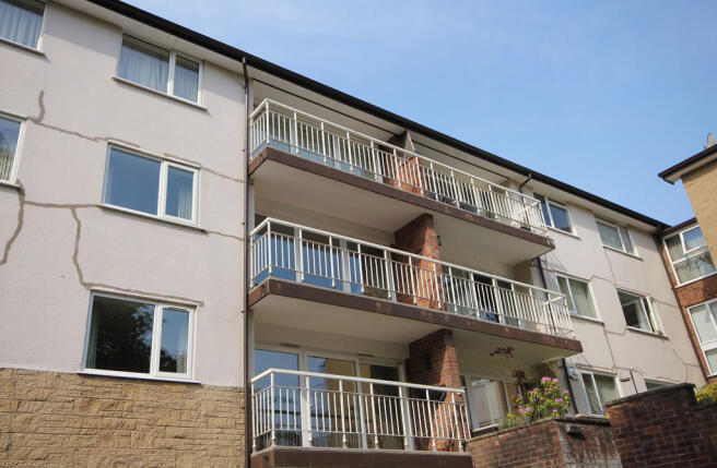 External - Rear