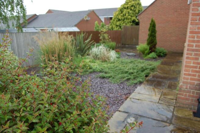 Side Garden