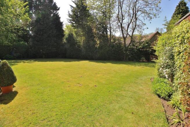 New Rear Garden.JPG