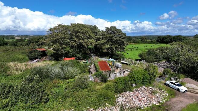 looking north at the plot.jpg