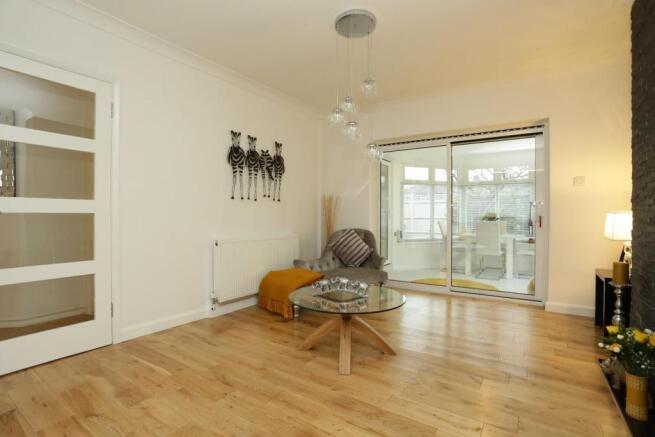 IMG_0010.jpg
