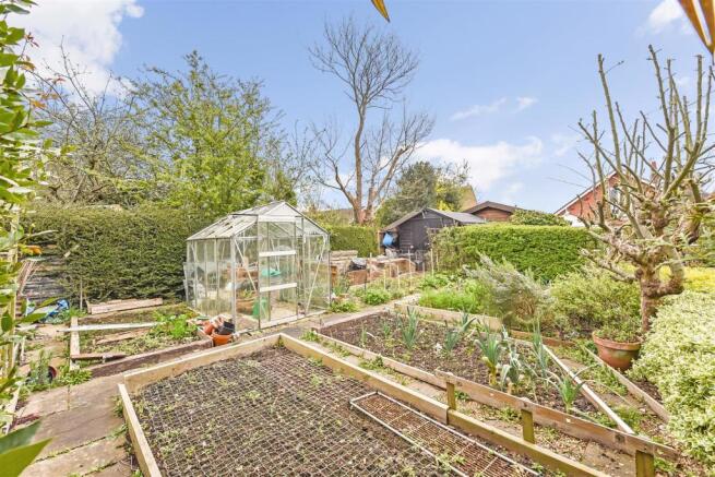 Vegetable Garden