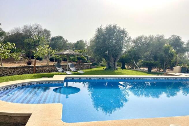 Peaceful oasis by the pool