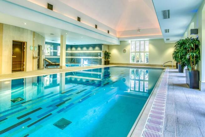 Wellness Pool