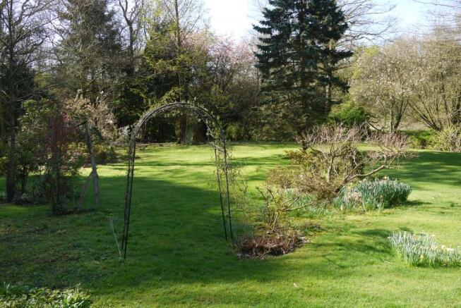 Garden 3