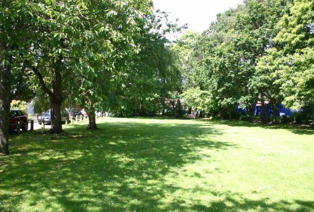 Small Green Opposite