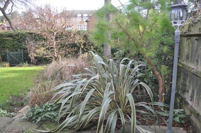 Garden_1.JPG