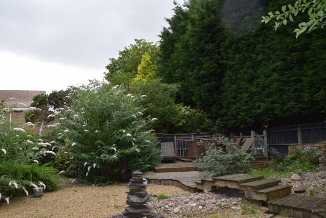 DSC_0015 - Copy.JPG