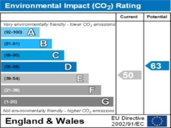 ENVIRONMENTAL IMPACT