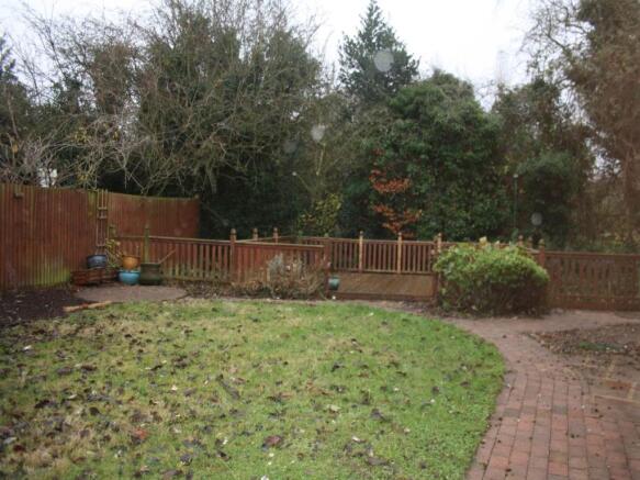20 Beech ave garden 
