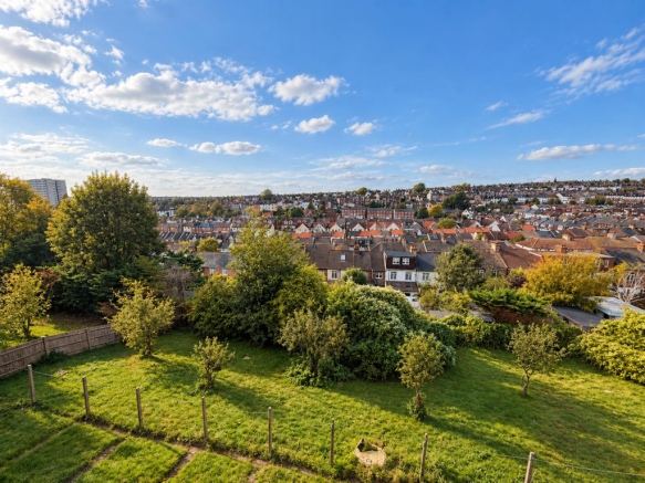 Sunlit Suburban Hillside Garden View.png