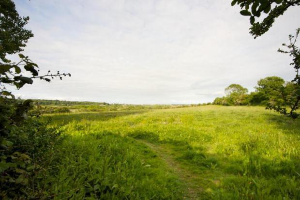 Fields To Rear