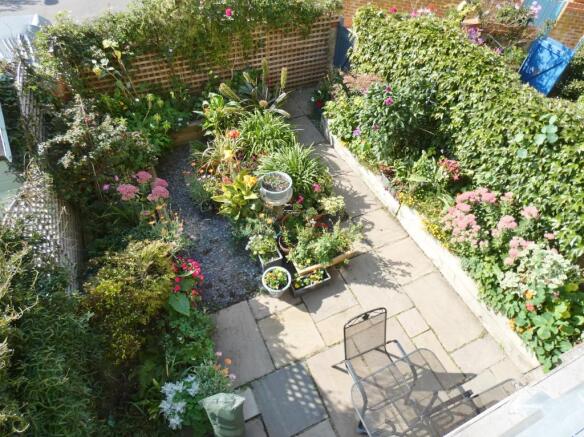 Summer Garden Photo