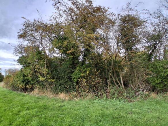 Land at Robinson End