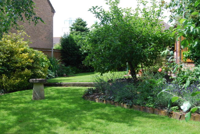 Photo 25