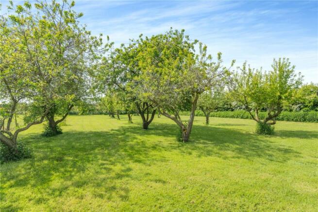Orchard