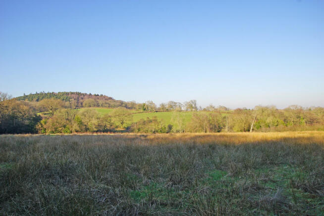 Adjacent Fields