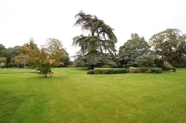 Communal Gardens